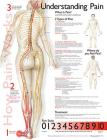 Understanding Pain Anatomical Chart Cover Image