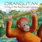Orangutan: A Day in the Rainforest Canopy By Rita Goldner (Illustrator), Rita Goldner Cover Image