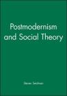 Postmodernism and Social Theory By Steven Seidman Cover Image