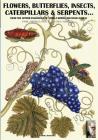 flowers, butterflies, insects, caterpillars & serpents...: From Sybilla Merian & Moses Hariss XVII-XVIII Centuries engravings (Darwin's View #2) By Luca Stefano Cristini, Sybilla Merian (Illustrator), Moses Harris (Illustrator) Cover Image