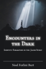 Encounters in the Dark: Identity Formation in the Jacob Story (Semeia Studies #96) By Noel Forlini Burt Cover Image
