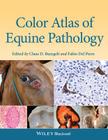 Color Atlas of Equine Pathology By Claus D. Buergelt (Editor), Fabio Del Piero (Editor) Cover Image