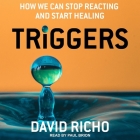 Triggers Lib/E: How We Can Stop Reacting and Start Healing By David Richo, Paul Brion (Read by) Cover Image