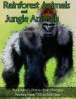 Rainforest Animals and Jungle Animals - Easy to Read Large Print Dot-to-Dot: Puzzles From 150 to 600 Dots By Laura's Dot to Dot Therapy Cover Image