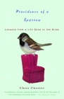 Providence of a Sparrow: Lessons from a Life Gone to the Birds By Chris Chester Cover Image