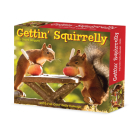 Gettin' Squirrelly 2025 6.2 X 5.4 Box Calendar By Geert Weggen (Created by) Cover Image