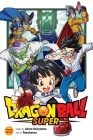 Dragon Ball Super, Vol. 22 By Akira Toriyama, Toyotarou (Illustrator) Cover Image