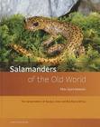 Salamanders of the Old World: The Salamanders of Europe, Asia and Northern Africa By Max Sparreboom Cover Image