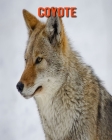 Coyote: Foto stupende e fatti divertenti Libro sui Coyote per bambini Cover Image