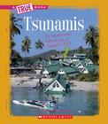 Tsunamis (True Books: Earth Science (Library)) By Chana Stiefel Cover Image