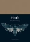 Moth (Animal) By Matthew Gandy Cover Image