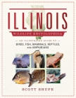 Illinois Wildlife Encyclopedia: An Illustrated Guide to Birds, Fish, Mammals, Reptiles, and Amphibians Cover Image