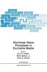 Nonlinear Wave Processes in Excitable Media (NATO Science Series B: #244) By Arunn V. Holden (Editor), Mario Markus (Editor), Hans G. Othmer (Editor) Cover Image
