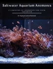 Saltwater Aquarium Anemones: 8 Varieties of Anemones for Your Aquarium By Viktor Vagon Cover Image