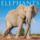 Elephants 2022 Wall Calendar Cover Image