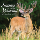 Seasons of the Whitetail 2025 12 X 12 Wall Calendar By Willow Creek Press Cover Image