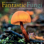 Fantastic Fungi Wall Calendar 2024 By Workman Calendars, Louie Schwartzberg (Photographs by) Cover Image