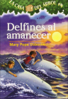 Delfines al Amanecer (Magic Tree House #9) By Mary Pope Osborne, Salvatore Murdocca (Illustrator), Marcela Brovelli (Translator) Cover Image