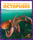 Octopuses By Bizzy Harris, N/A (Illustrator) Cover Image