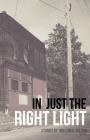 In Just the Right Light By William R. Soldan Cover Image
