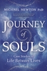 Journey of Souls: Case Studies of Life Between Lives Cover Image