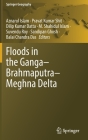 Floods in the Ganga-Brahmaputra-Meghna Delta (Springer Geography) By Aznarul Islam (Editor), Pravat Kumar Shit (Editor), Dilip Kumar Datta (Editor) Cover Image