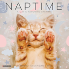Naptime (Cats) 2024 7 X 7 Mini Wall Calendar By Willow Creek Press Cover Image