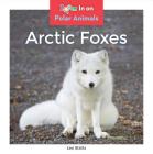 Arctic Foxes (Polar Animals) By Leo Statts Cover Image