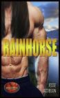 Rainhorse: Brotherhood Protectors World Cover Image