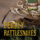 Deadly Rattlesnakes By Monika Davies Cover Image