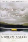 A Yellow Raft in Blue Water: A Novel Cover Image