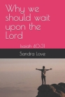 Why we should wait upon the Lord: Isaiah 40:31 Cover Image