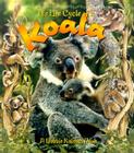 Koala (Life Cycle of A...(Paperback)) Cover Image