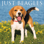 Just Beagles 2022 Wall Calendar (Dog Breed) Cover Image