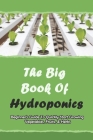The Big Book Of Hydroponics: Beginner's Guide To Quickly Start Growing Vegetables, Fruits, & Herbs: Hydroponics For Beginners Cover Image