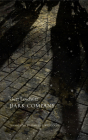 Dark Company: A Novel in Ten Rainy Nights (The German List) Cover Image