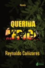 Querida África By Reynaldo Cañizares Mesa Cover Image