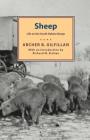 Sheep: Life On The South Dakota Range By Archer B. Gilfillan Cover Image