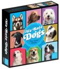We Rate Dogs! The Card Game – For 3-6 Players, Ages 8+ - Fast-Paced Card Game Where Good Dogs Compete to be the Very Best – Based on Wildly Popular @WeRateDogs Twitter Account By Ben Walker, Darren Watts, Stephen Tasker, Matt Nelson Cover Image