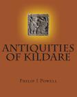 ANTIQUITIES of KILDARE: Guide To Cover Image