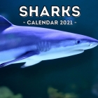 Sharks Calendar 2021: Cute Gift Idea For Sharks Lovers Men And Women By Courageous Jelly Press Cover Image