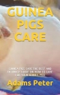 Guinea Pigs Care: Guinea Pigs Care: The Best and Ultimate Guide on How to Care for Your Guinea Pigs By Adams Peter Cover Image