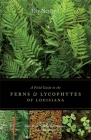 A Field Guide to the Ferns and Lycophytes of Louisiana By Ray Neyland Cover Image