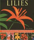Lilies: An Illustrated Guide to Varieties, Cultivation and Care, with Step-By-Step Instructions and Over 150 Stunning Photogra Cover Image