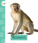 Monkeys Cover Image
