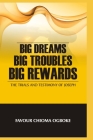 Big Dreams, Big Troubles, Big Rewards: The Trials And Testimony Of Joseph By Favour Chioma Ogboke Cover Image