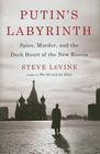 Putin's Labyrinth: Spies, Murder, and the Dark Heart of the New Russia By Steve Levine Cover Image