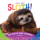 Hello Baby Sloth! By Beverly Rose Cover Image