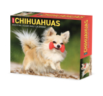 Chihuahuas 2023 Box Calendar By Willow Creek Press Cover Image