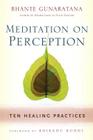 Meditation on Perception: Ten Healing Practices to Cultivate Mindfulness By Henepola Gunaratana Cover Image